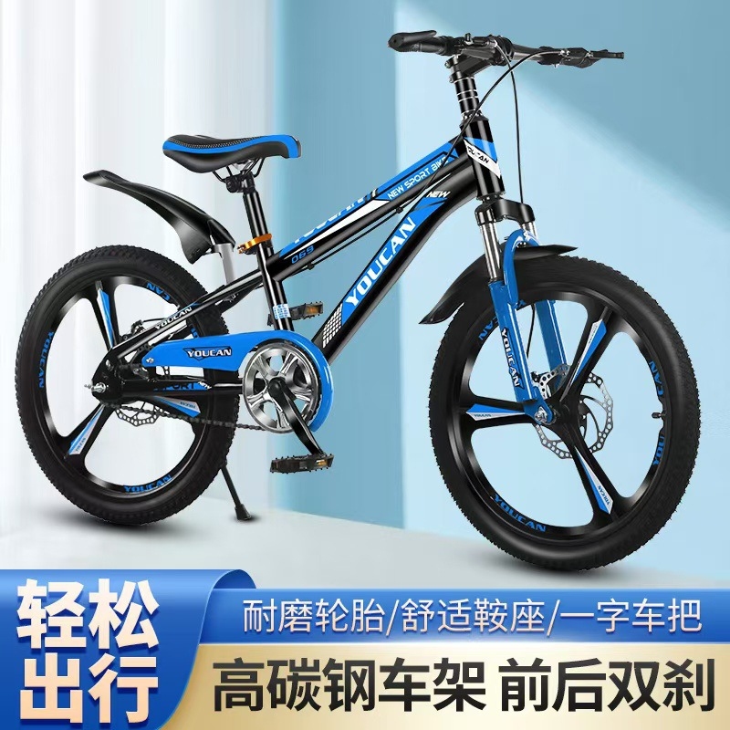 プリンセススタイルキッズマウンテンバイク、女の子向け6～15 - Quality Cycling Gear のレビューと価格