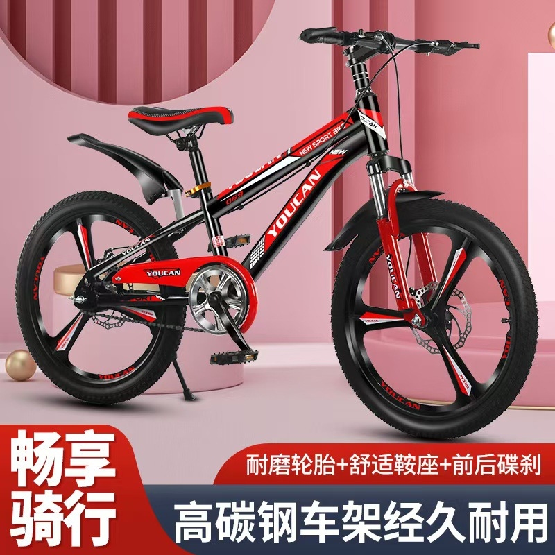 プリンセススタイルキッズマウンテンバイク、女の子向け6～15 - Quality Cycling Gear のレビューと価格